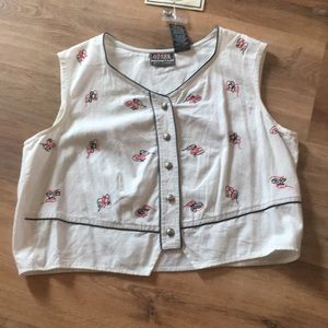 Ozark mountain western top